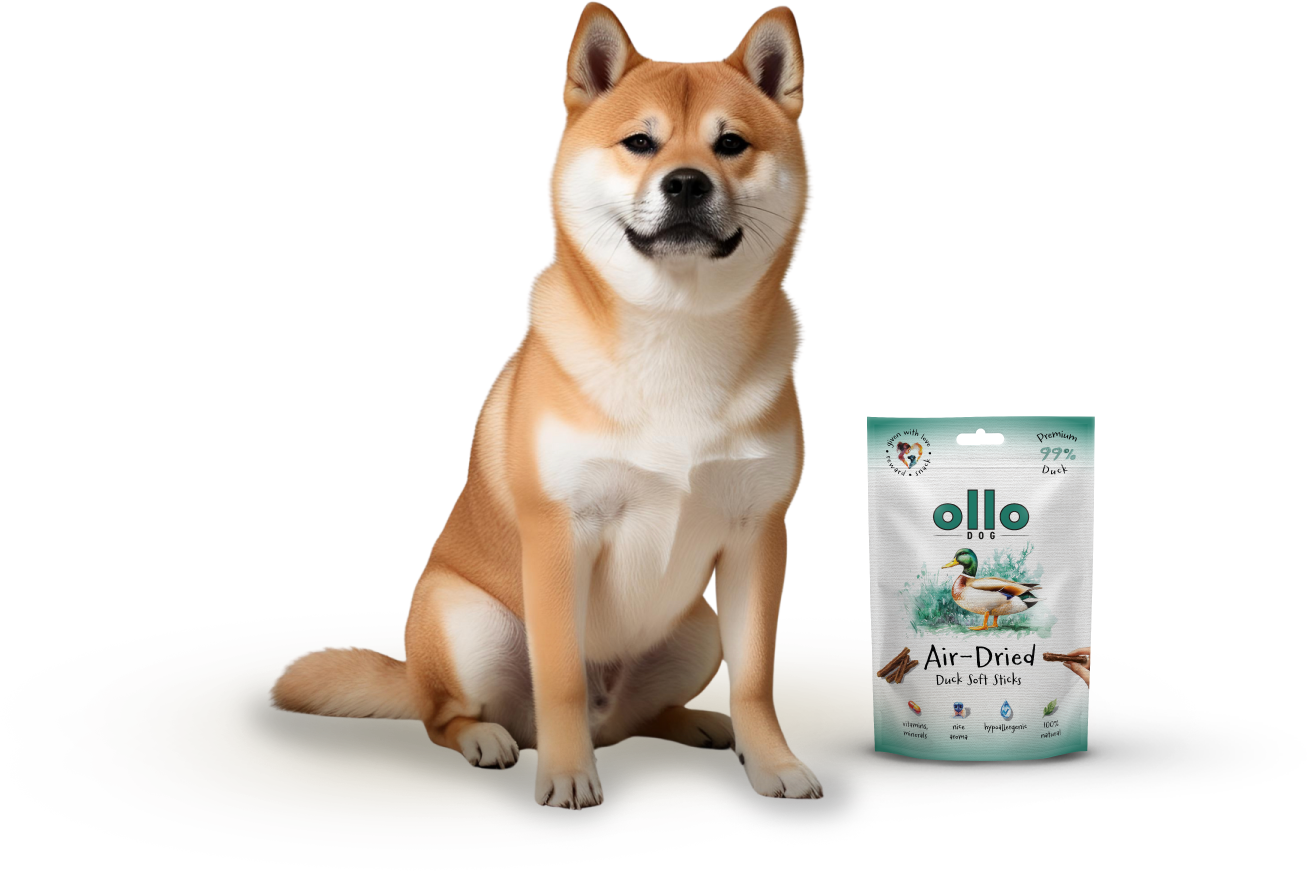Ollo Air-Dried Duck Strips-dog