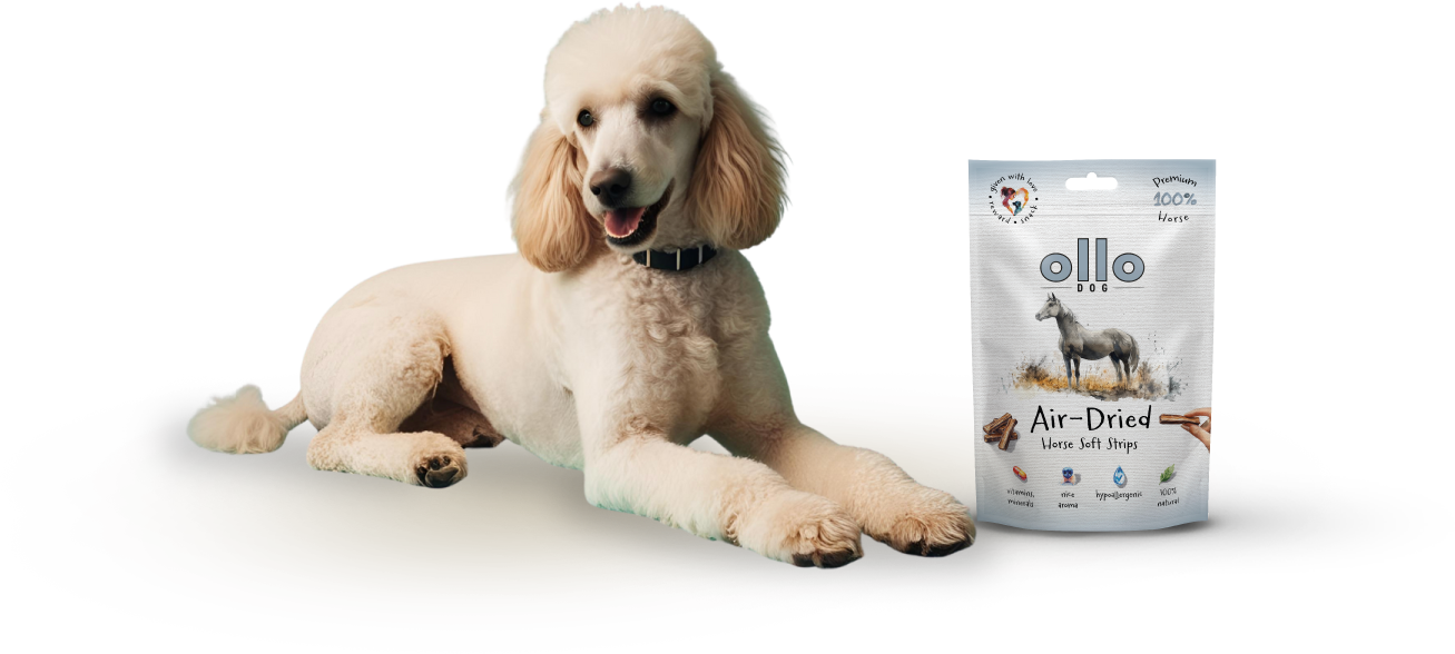 Ollo Air-Dried Horse Soft Strips-dog