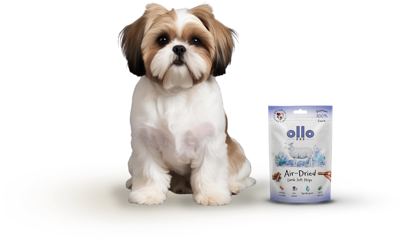 Ollo Air-Dried Lamb Soft Stips-dog
