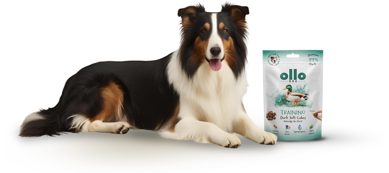 Ollo Air-Dried Training Duck Soft Cubes-dog