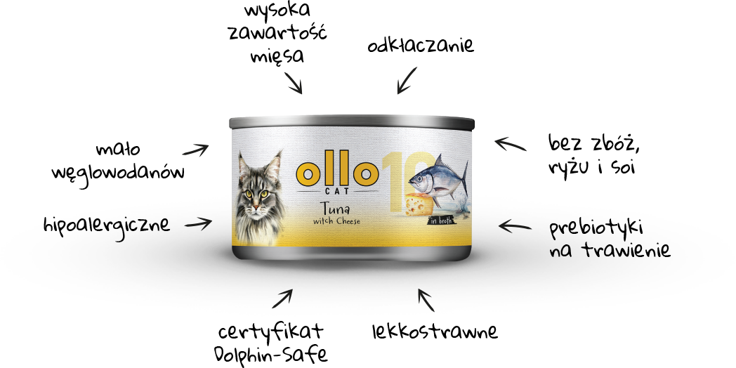 cat10-arrows