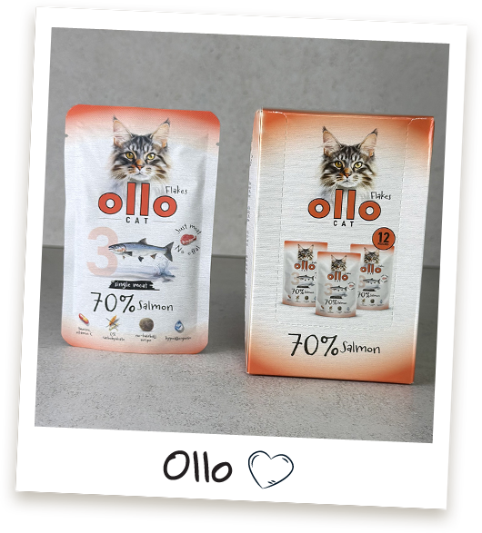 Karma mokra dla kota Ollo Cat w saszetkach nr 3 Łosoś