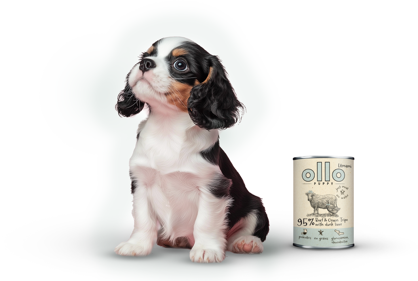 puppu-bgt-dog