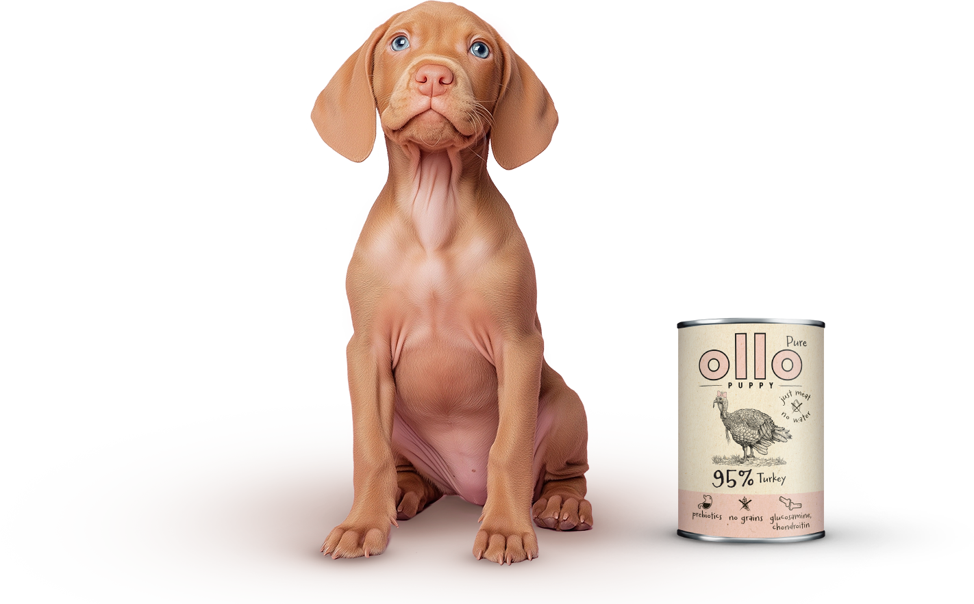 puppu-turkey-dog