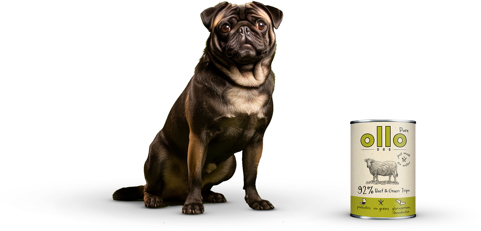 pure-bgt-dog