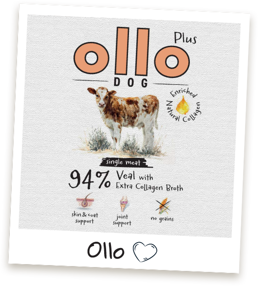 karma-mokra-dla-psa-ollo-plus-kolagen-cielecina-ramka copy