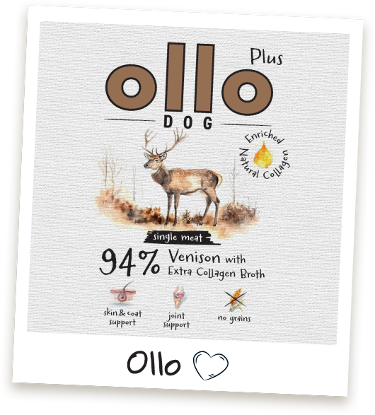 karma-mokra-dla-psa-ollo-plus-kolagen-jelen-ramka copy
