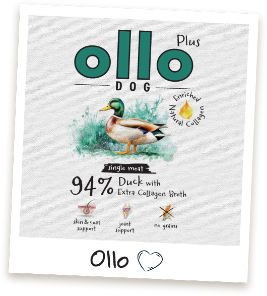 karma-mokra-dla-psa-ollo-plus-kolagen-kaczka-ramka