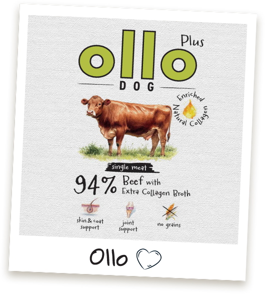 karma-mokra-dla-psa-ollo-plus-kolagen-wolowina-ramka