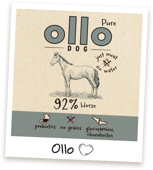 Karma mokra Ollo Pure Koń w Sklepie Ollo