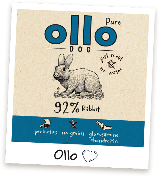 Karma mokra Ollo Pure Królik w Sklepie Ollo