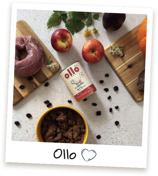 Karma mokra Ollo Pure Wieprzowina w Sklepie Ollo