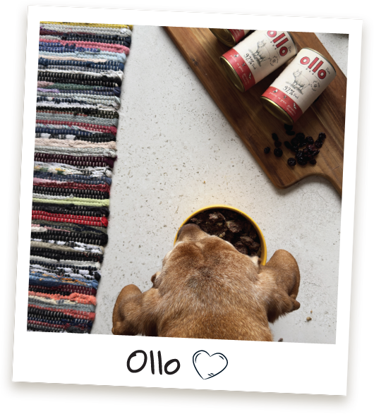 Karma mokra Ollo Pure Wieprzowina w Sklepie Ollo