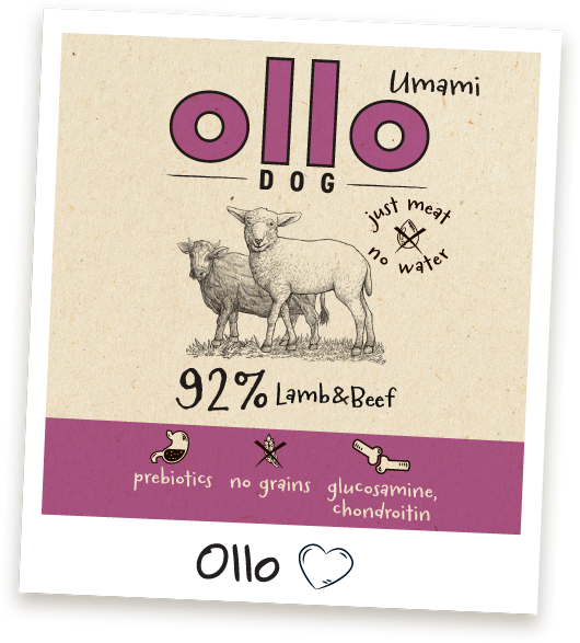 Karma mokra Ollo Umami Jagnięcina i Wołowina w Sklepie Ollo