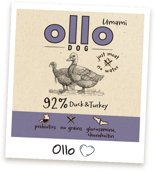 Karma mokra Ollo Umami Kaczka i Indyk w Sklepie Ollo