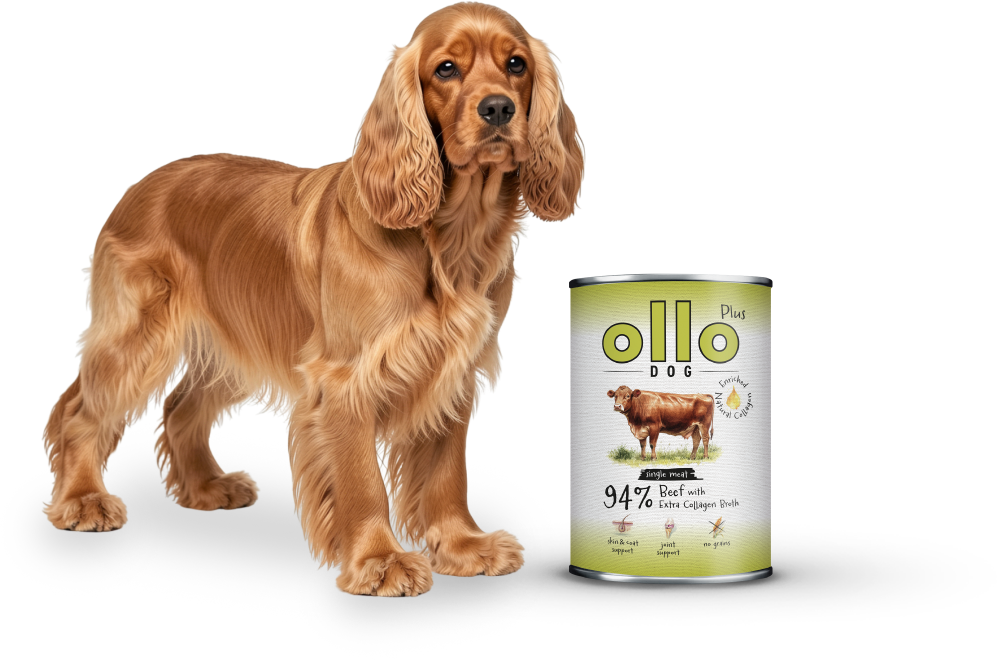 plus-beef-dog