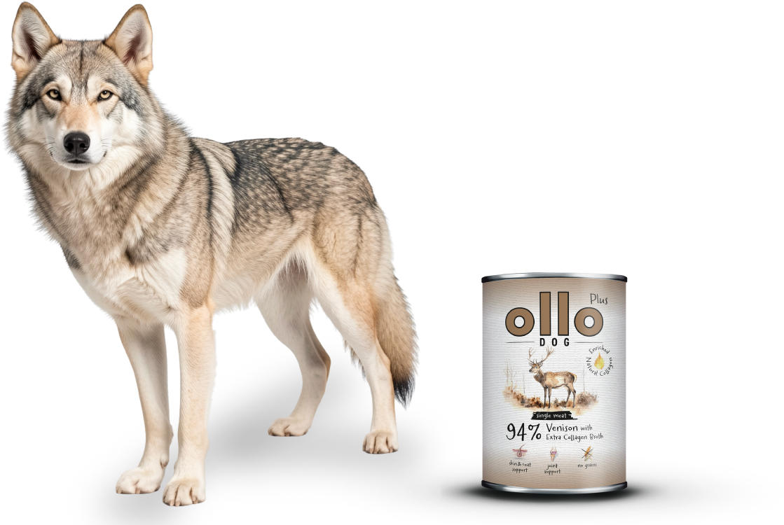 plus-venison-dog