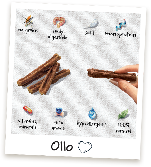 Przysmaki treningowe Ollo Sticks w sklepie Ollo