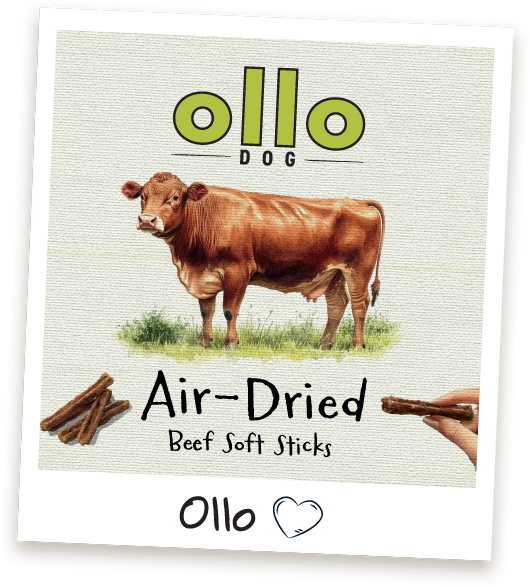 Przysmaki treningowe Ollo Beef Sticks w sklepie Ollo