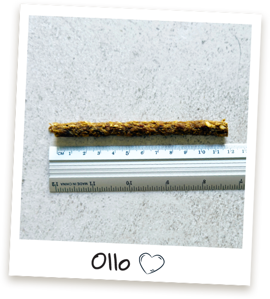 Przysmaki treningowe Ollo Sticks w sklepie Ollo