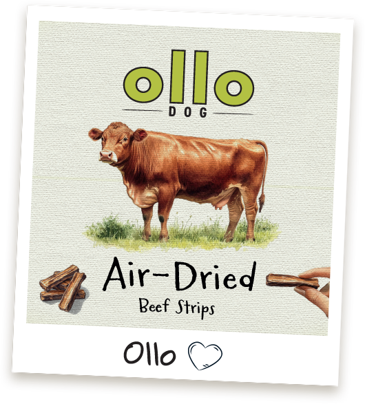 Przysmaki dla psa Ollo Beef Strips w sklepie Ollo