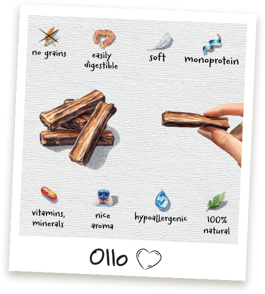 Przysmaki dla psa Ollo Strips w sklepie Ollo