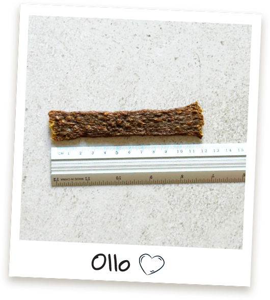 Przysmaki dla psa Ollo Strips w sklepie Ollo
