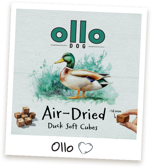 Przysmaki treningowe Ollo Duck Cubes w sklepie Ollo
