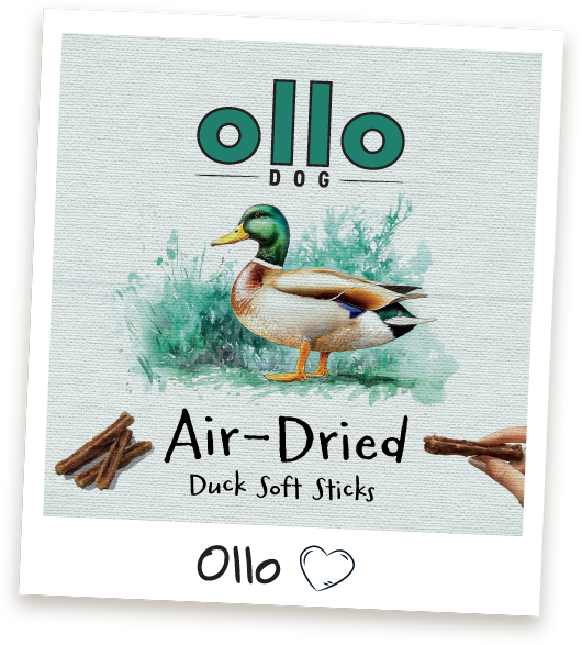 Przysmaki treningowe Ollo Duck Sticks w sklepie Ollo