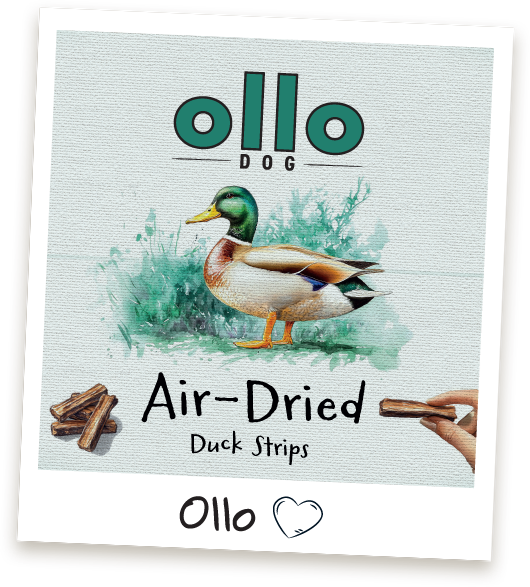 Przysmaki dla psa Ollo Duck Strips w sklepie Ollo