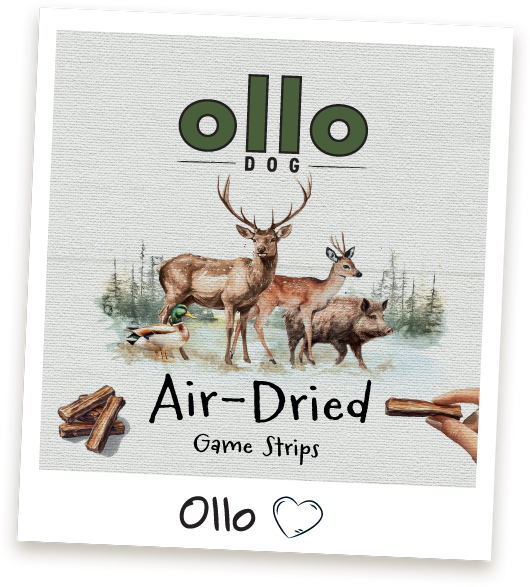 Przysmaki dla psa Ollo Game Strips w sklepie Ollo
