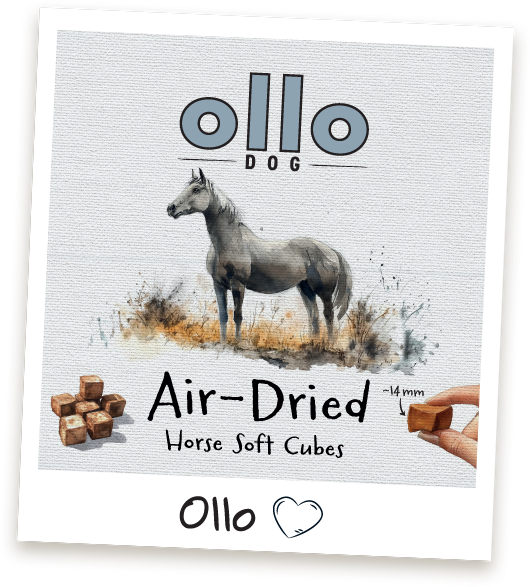 Przysmaki treningowe Ollo Horse Cubes w sklepie Ollo