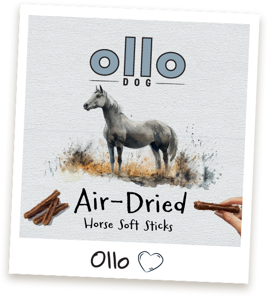 Przysmaki treningowe Ollo Horse Sticks w sklepie Ollo