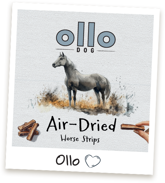 Przysmaki dla psa Ollo Horse Strips w sklepie Ollo