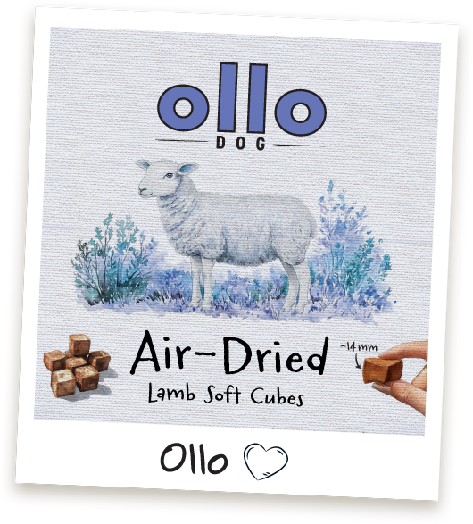 Przysmaki treningowe Ollo Lamb Cubes w sklepie Ollo