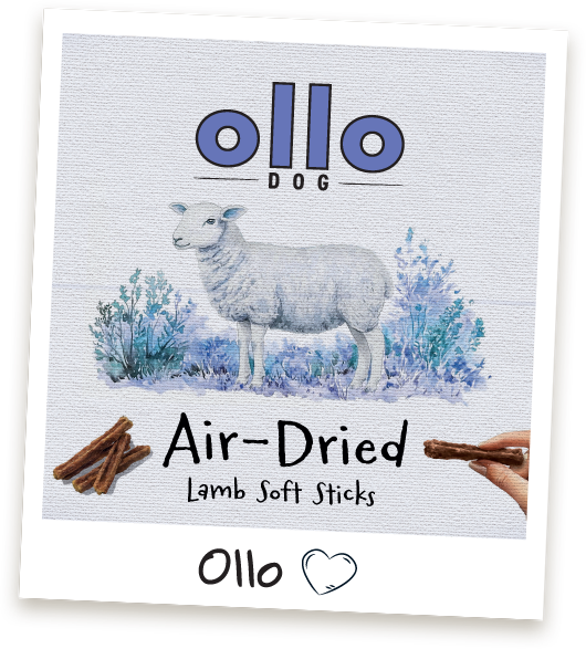 Przysmaki treningowe Ollo Lamb Sticks w sklepie Ollo