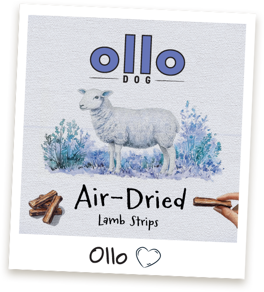 Przysmaki dla psa Ollo Lamb Strips w sklepie Ollo