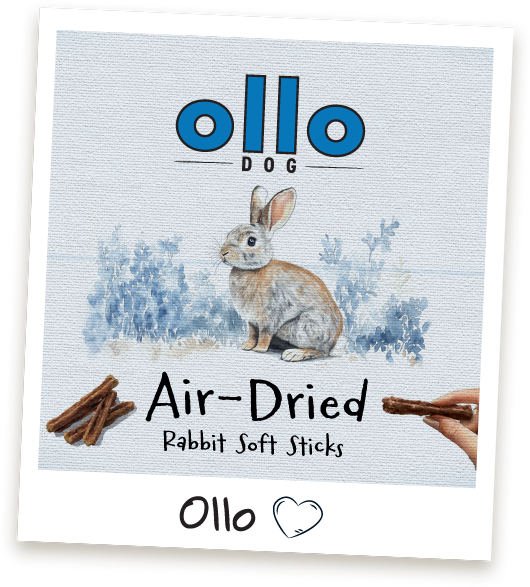 Przysmaki treningowe Ollo Rabbit Sticks w sklepie Ollo