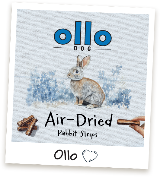 Przysmaki dla psa Ollo Rabbit Strips w sklepie Ollo