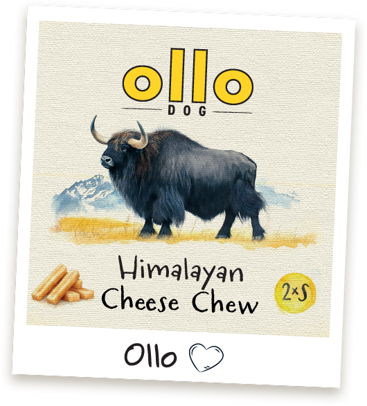 Przysmaki dla psa Ollo Ser Himalajski w Sklepie Ollo