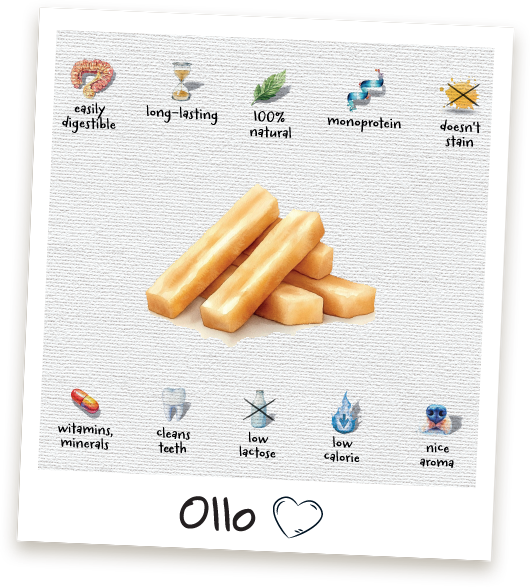 Przysmaki dla psa Ollo Ser Himalajski w Sklepie Ollo