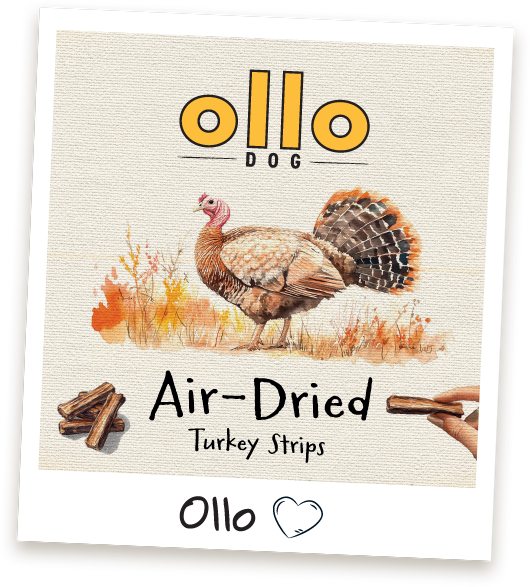 Przysmaki dla psa Ollo Turkey Strips w sklepie Ollo
