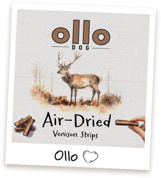 Przysmaki dla psa Ollo Venison Strips w sklepie Ollo