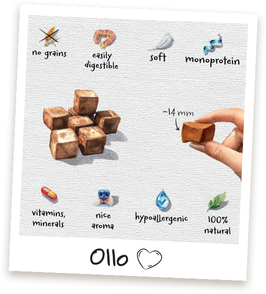 Przysmaki treningowe Ollo Cubes w sklepie Ollo