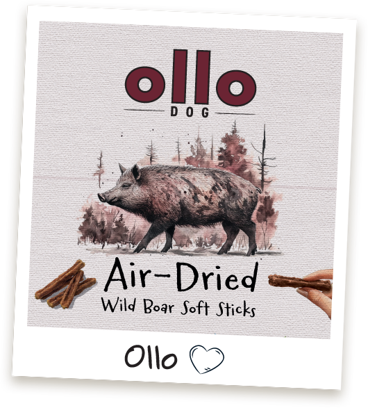 Przysmaki treningowe Ollo Wild Boar Sticks w sklepie Ollo
