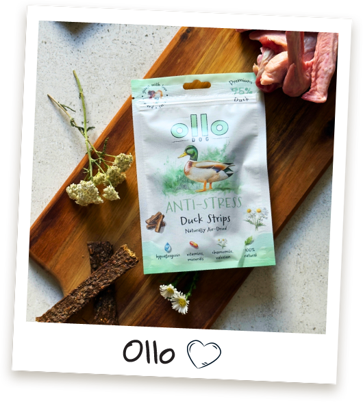 Przysmaki dla psa Ollo Anti-sterss Duck Strips w Sklepie Ollo