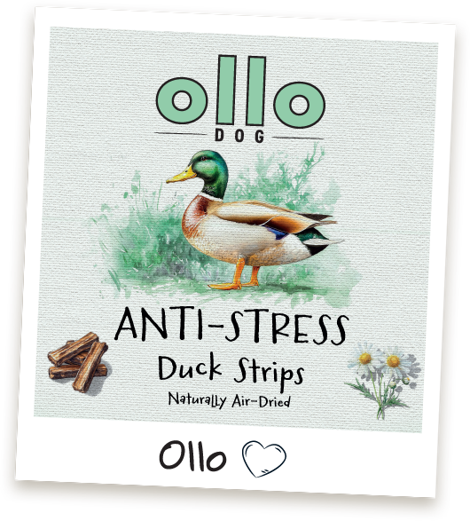 Przysmaki dla psa Ollo Anti-sterss Duck Strips w Sklepie Ollo