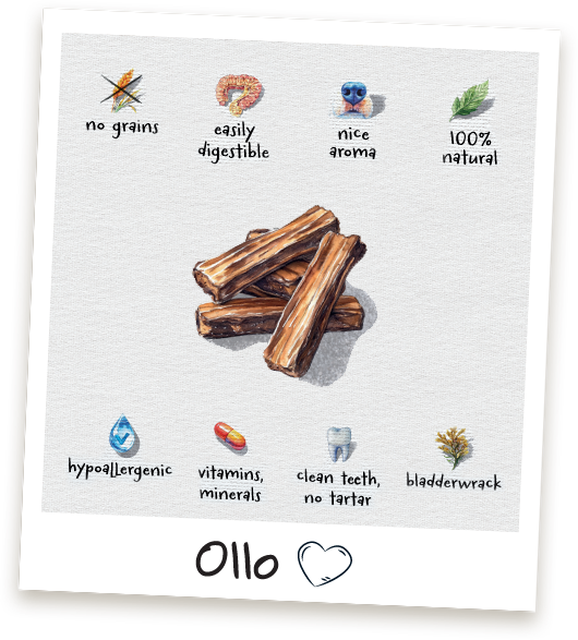Przysmaki dla psa Ollo Dental Turkey Strips w Sklepie Ollo