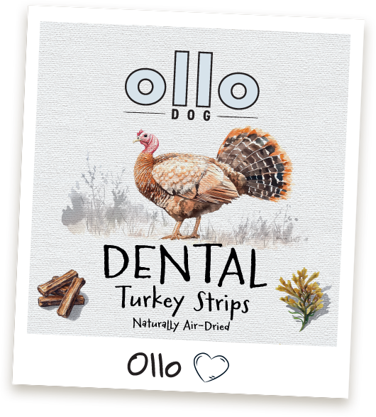 Przysmaki dla psa Ollo Dental Turkey Strips w Sklepie Ollo