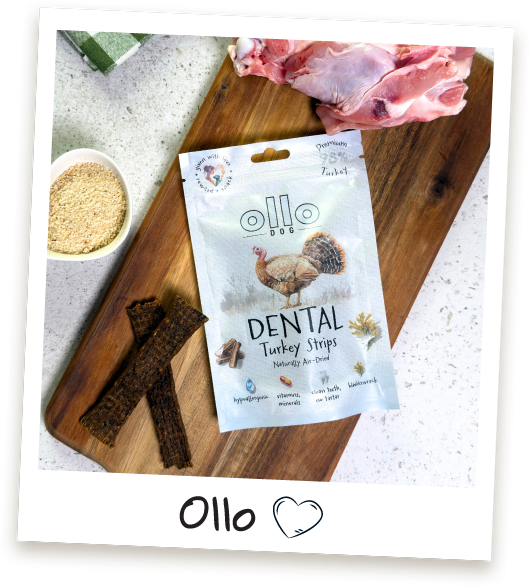 Przysmaki dla psa Ollo Dental Turkey Strips w Sklepie Ollo